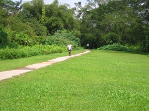 400m sprint repeats on trail