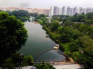 Perfect for 1km repeat. A turn around this lake at Yishun is 1km.