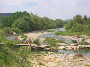 The river Eurotas, near Sparti, the city which sits on the site of ancient Sparta