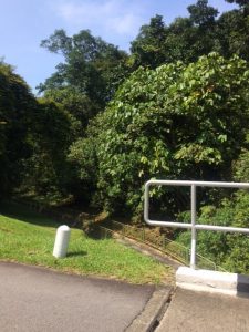 Access to the "Valley" from Lower Pierce Reservoir